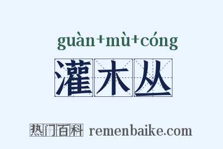 灌木丛是什么意思的图片